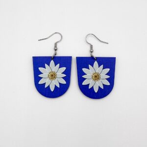 Vaakuna-korvikset: Pälkäne